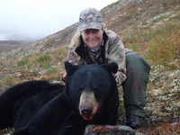 Alaskan Black Bear - Gallery