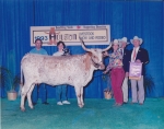 Houston Livestock Show & Rodeo 1993 - Gallery