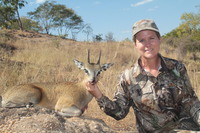 Zimbabwe, Klipspringer spring 2013 - Gallery