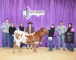 LR Calla Lily CP - Longhorn Heifers