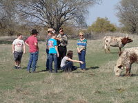 North Texas Field Day - Gallery