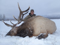 Great Elk Hunt - Gallery