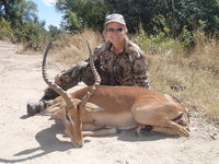 Zimbabwe, Impala 2013 - Gallery