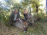 Zimbabwe, Waterbuck 2013 - Gallery