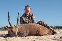 Zimbabwe, Bushbuck 2013 - Gallery