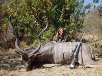 Zimbabwe, Kudu 2013 - Gallery