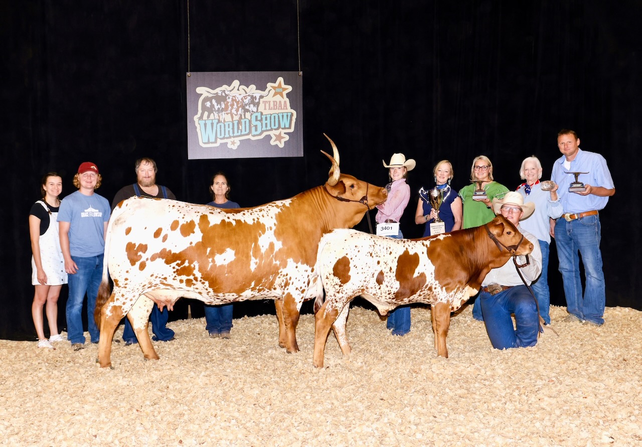 CP Longhorns Grand Champion at the TLBAA World Show